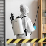 Neteja de comunitats